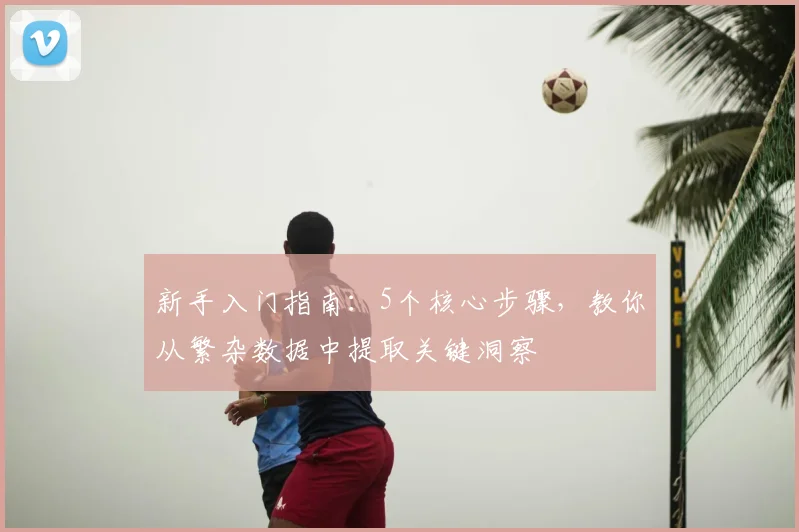 新手入门指南：5个核心步骤，教你从繁杂数据中提取关键洞察