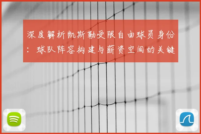 深度解析凯斯勒受限自由球员身份：球队阵容构建与薪资空间的关键考量